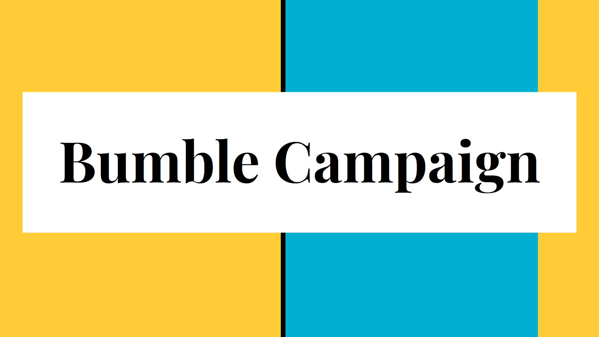 Bumble Digital Marketing Campaign